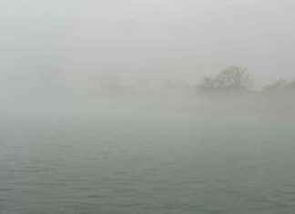 Dense Fog Advisory in Chicago: Expect Sharply Reduced Visibility dense-fog-advisory-in-chicago-expect-sharply-reduced-visibility