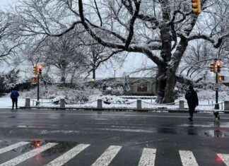 Snowfall in NYC and NJ on First Day of Winter with Arctic Temperatures Forecast for Christmas snowfall-in-nyc-and-nj-on-first-day-of-winter-with-arctic-temperatures-forecast-for-christmas