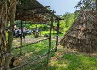 Top 9 Must-Visit Museums in NYC in 2024 top-9-must-visit-museums-in-nyc-in-2024