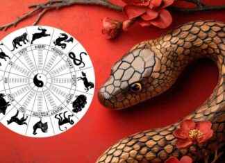 2025 Zodiac Sign Predictions: Year of the Wood Snake Influences 2025-zodiac-sign-predictions-year-of-the-wood-snake-nfluences