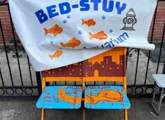 Aquarium Cofounder Sentenced for Attempted Murder in Bed-Stuy: What Happened? aquarium-cofounder-sentenced-for-attempted-murder-in-bed-stuy-what-happened