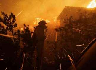 Navigating the Los Angeles Wildfire Emergency: A First-Hand Account navigating-the-los-angeles-wildfire-emergency-a-first-hand-account