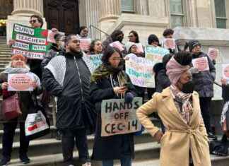 Increasing Nominees for NYC School Council Amid Culture War Controversies ncreasing-nominees-for-nyc-school-council-amid-culture-war-controversies