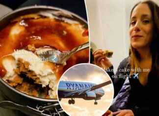 Passenger Annoys Flyers with Homemade Dessert on Flight passenger-annoys-flyers-with-homemade-dessert-on-flight
