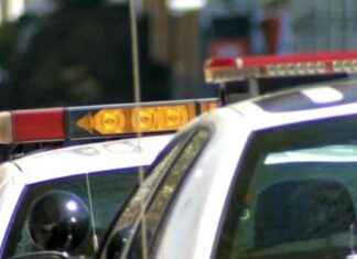 Teens in Long Island Have Heads Shaved in Playground Robbery teens-in-long-sland-have-heads-shaved-in-playground-robbery