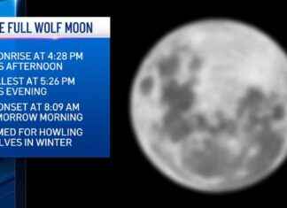 Ultimate Guide to January’s Wolf Moon: Everything You Need to Know ultimate-guide-to-januarys-wolf-moon-everything-you-need-to-know