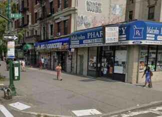 Woman charged in murder of postal worker at deli in NYC: NYPD investigation and details woman-charged-in-murder-of-postal-worker-at-deli-in-nyc-nypd-investigation-and-details