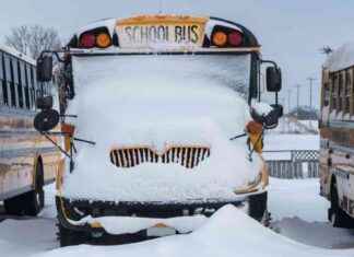 Chicago-area Schools Closed Due to Snowstorm: Full List chicago-area-schools-closed-due-to-snowstorm-full-list