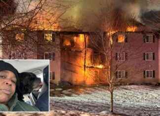 Heroic NY Dog Saves Owner from Massive Fire: A Heartwarming Tale heroic-ny-dog-saves-owner-from-massive-fire-a-heartwarming-tale