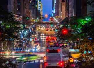 NYC 2024: Cars Pose Higher Risk Than Guns nyc-2024-cars-pose-higher-risk-than-guns