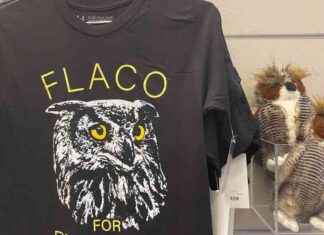 Remembering Flaco: NYC’s Beloved Owl Lives on in New Exhibit remembering-flaco-nycs-beloved-owl-lives-on-in-new-exhibit