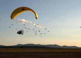 Teaching Endangered Ibis to Migrate: A Long Journey teaching-endangered-bis-to-migrate-a-long-journey