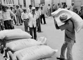 The Impact of U.S.A.I.D. on Childhood Development the-mpact-of-usad-on-childhood-development