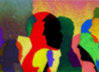 The Rising Influence of the Not-Quite-Anti-Woke Movement the-rising-nfluence-of-the-not-quite-anti-woke-movement