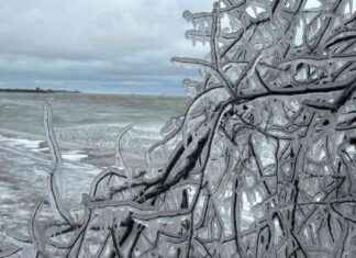 Winter Weather Advisory Issued for Chicago Area: Freezing Rain, Ice, Sleet, Snow winter-weather-advisory-ssued-for-chicago-area-freezing-rain-ce-sleet-snow