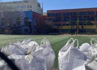 Ban on Artificial Grass in NYC Parks: Turf Wars Explained ban-on-artificial-grass-in-nyc-parks-turf-wars-explained