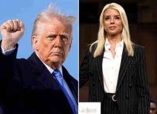 Investigation Into Attorneys Filing ‘Frivolous’ Lawsuits Directed by Trump nvestigation-nto-attorneys-filing-frivolous-lawsuits-directed-by-trump