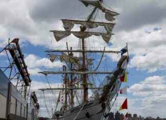 History of Ships Colliding with Brooklyn Bridge: A 150-Year Timeline history-of-ships-colliding-with-brooklyn-bridge-a-150-year-timeline