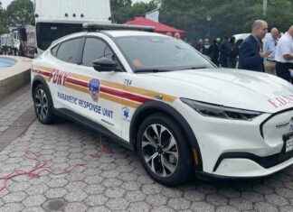 NYC’s Vehicle Fleet: 75% Green and Positive Climate News nycs-vehicle-fleet-75-green-and-positive-climate-news