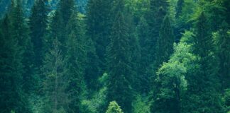 Hempstead House Secrets Revealed: Explore Its Stunning Legacy