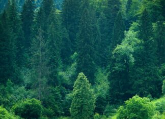 Hempstead House Secrets Revealed: Explore Its Stunning Legacy