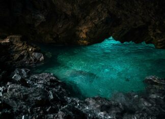 Hempstead TX Secrets: Discover Hidden Gems and Local Wonders