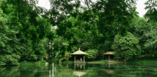 Hempstead Lake Park Secrets: Discover Nature’s Hidden Paradise