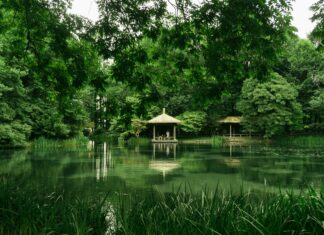 Hempstead Lake Park Secrets: Discover Nature’s Hidden Paradise