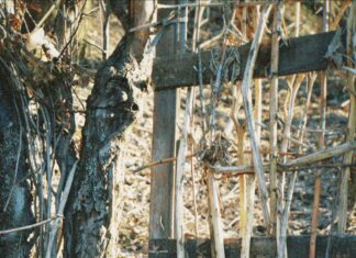 Village Of Hempstead: Discover Hidden Gems And Local Secrets Today