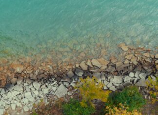 Hempstead Lake State Park: Discover Hidden Trails and Scenic Beauty