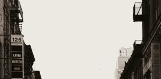 Nassau County Traffic And Parking Violations Agency Hempstead NY: How To Avoid Costly Tickets