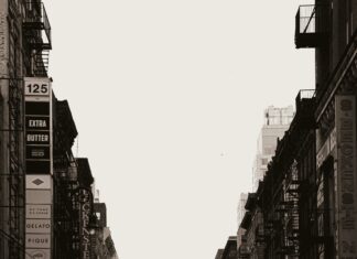 Nassau County Traffic And Parking Violations Agency Hempstead NY: How To Avoid Costly Tickets