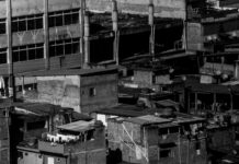 Town Of Hempstead Shelter: Discover How It Transforms Lives Today