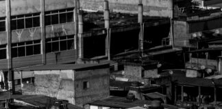 Town Of Hempstead Shelter: Discover How It Transforms Lives Today