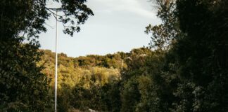 Hempstead County Secrets: Why Locals Love This Hidden Gem