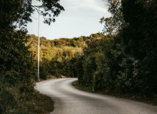 Hempstead County Secrets: Why Locals Love This Hidden Gem