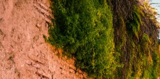 Town Of Hempstead Building Department: Essential Tips You Need