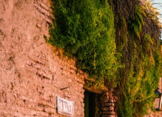 Town Of Hempstead Building Department: Essential Tips You Need