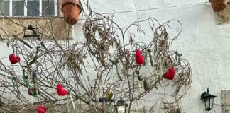 Town Of North Hempstead: Discover Hidden Gems And Local Secrets