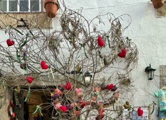 Town Of North Hempstead: Discover Hidden Gems And Local Secrets