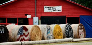 Hempstead County Arkansas Secrets: Why Locals Love Living Here