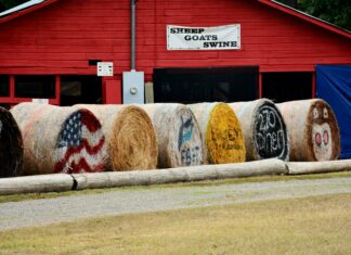 Hempstead County Arkansas Secrets: Why Locals Love Living Here