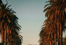 La Candela Ii West Hempstead: Discover Authentic Flavors Near You