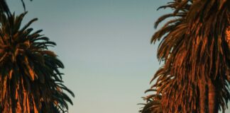 La Candela Ii West Hempstead: Discover Authentic Flavors Near You