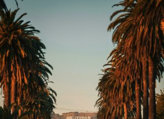 La Candela Ii West Hempstead: Discover Authentic Flavors Near You