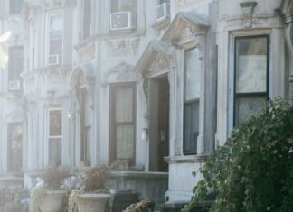 Town Of Hempstead Animal Shelter: Discover How To Save Lives Today