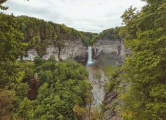 New Hempstead NY Secrets: Discover Hidden Gems & Local Wonders