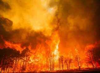 Second Teen Charged with Arson in New Jersey Wildfire second-teen-charged-with-arson-in-new-jersey-wildfire