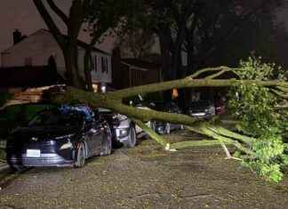 Severe Chicago Area Storms: Wind Gusts Up to 80 mph severe-chicago-area-storms-wind-gusts-up-to-80-mph