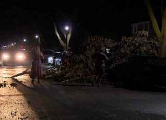 Severe Wind Storm Causes Power Outages in Chicago – What You Need to Know severe-wind-storm-causes-power-outages-in-chicago-what-you-need-to-know